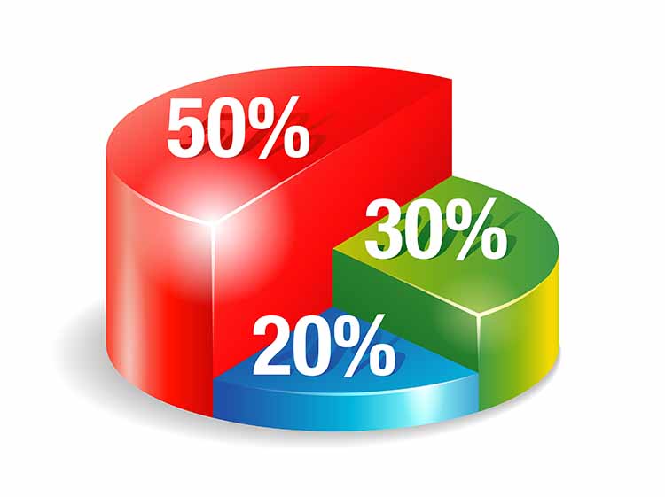 split of simple monthly budget