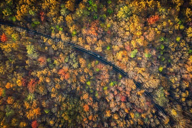 scenic road in tennessee