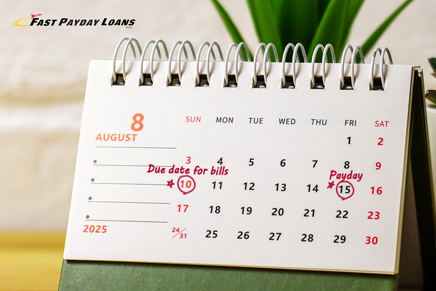 affording emergencies during a paycheck gap with a payday loan