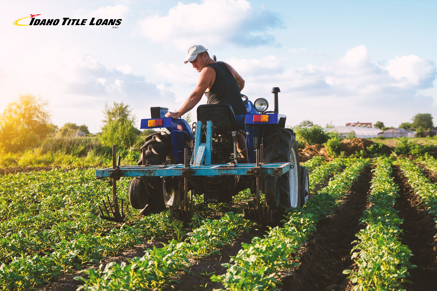farmer works on crop before harvest in the spring