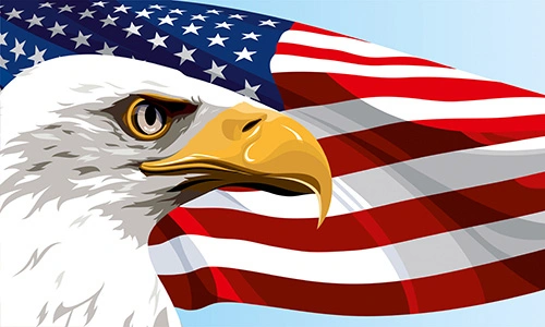 animation of bald eagle and American Flag