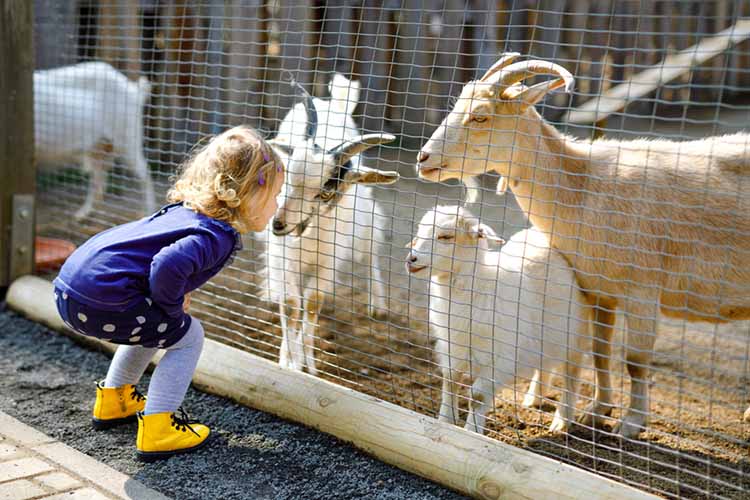 enjoy a day at the brandywine zoo