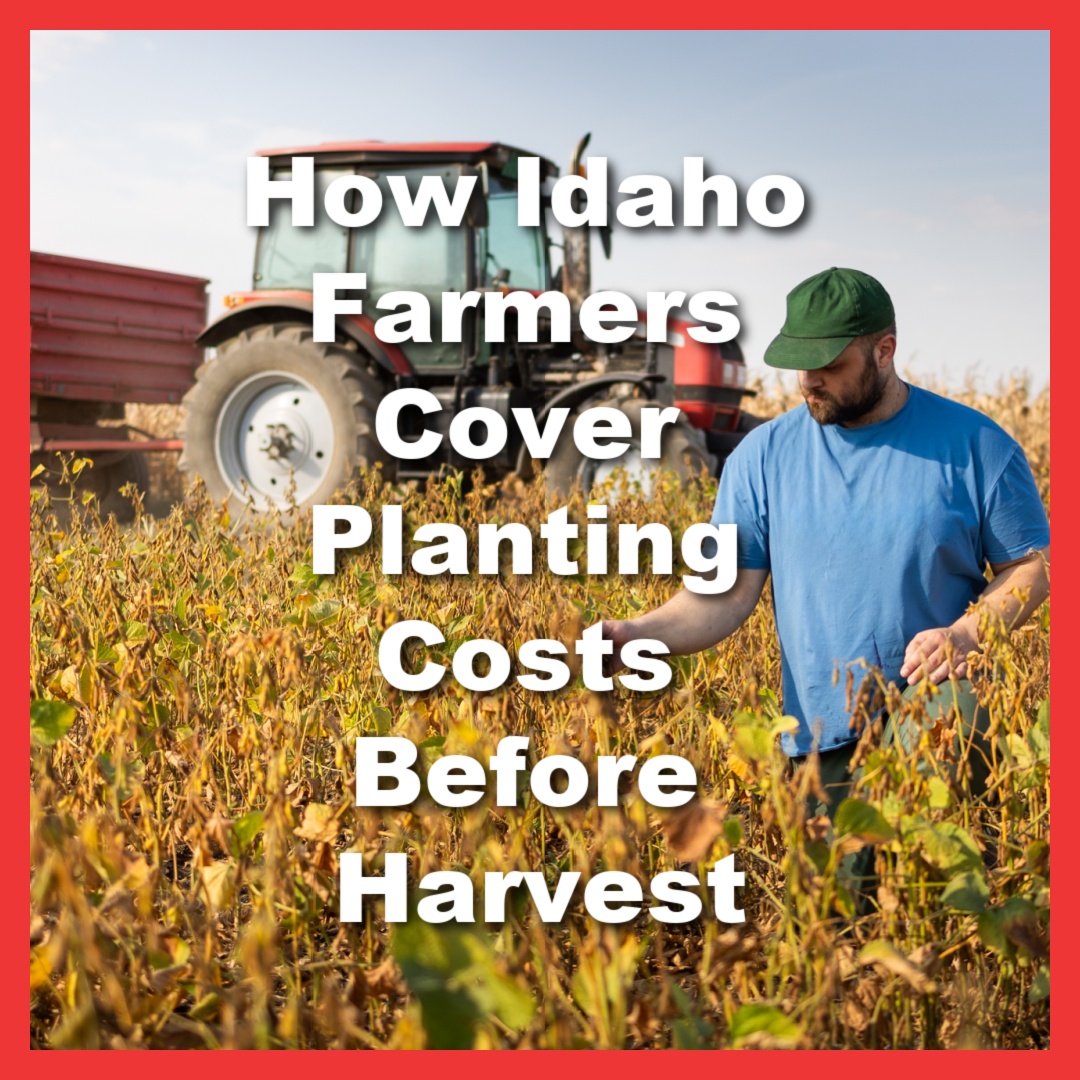 Idaho farmer needs emergency cash for pre-harvest expenses