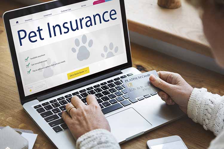 get pet insurance