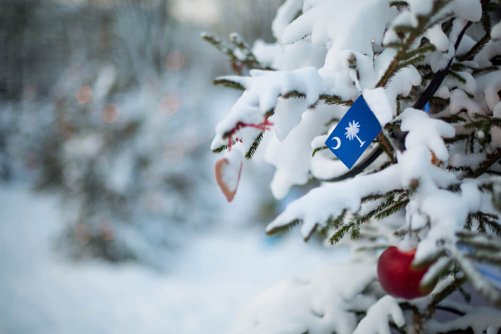 snowy christmas tree