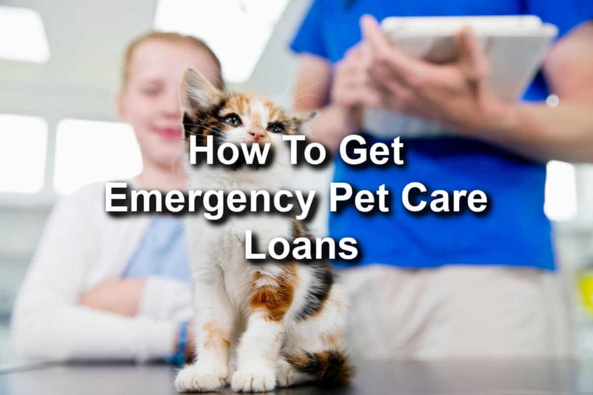 how to get emergency pet care loans with online title loans