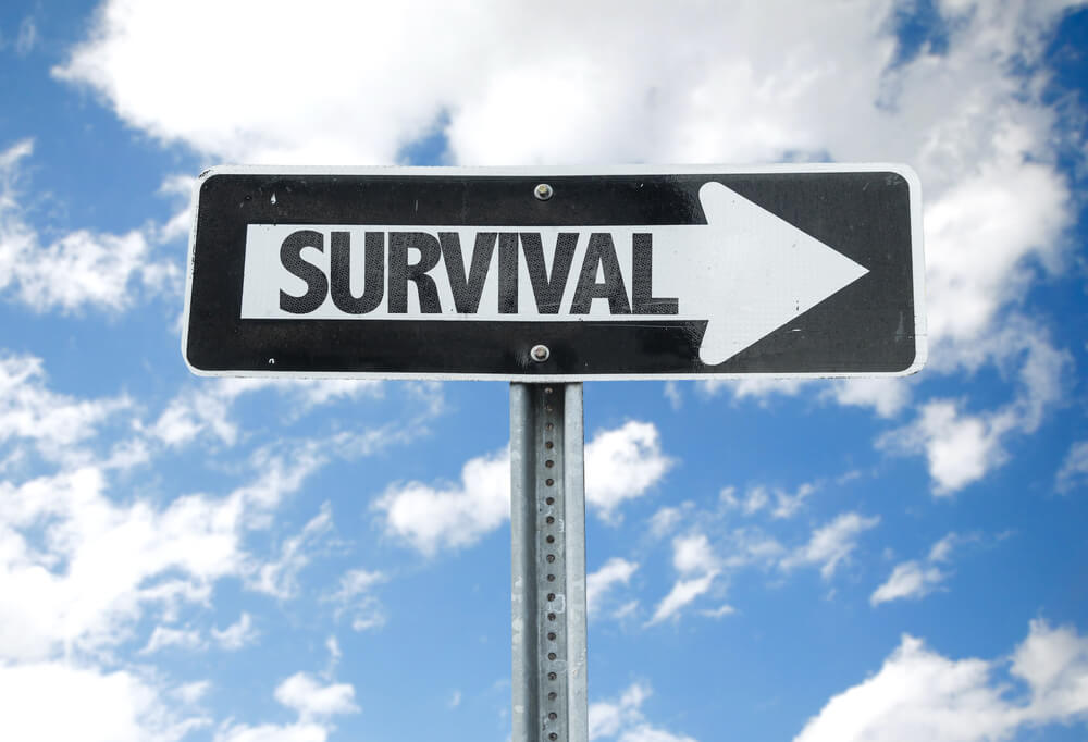 survival guide title loans