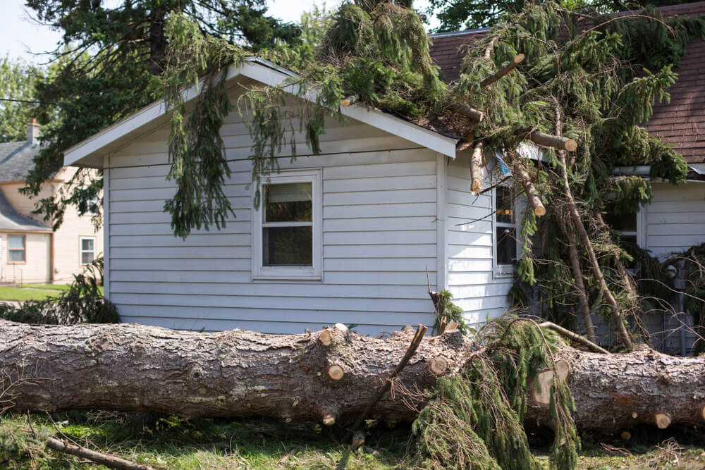 louisiana storm damage