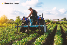 farmer works on crop before harvest in the spring
