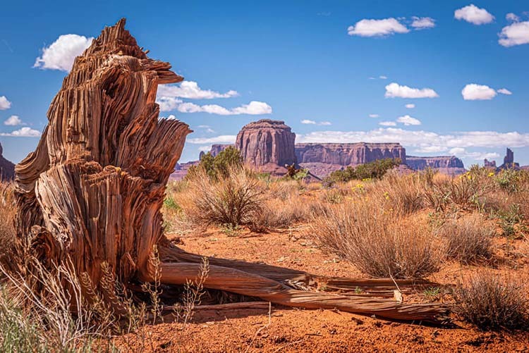 shot of Mesa, AZ desert